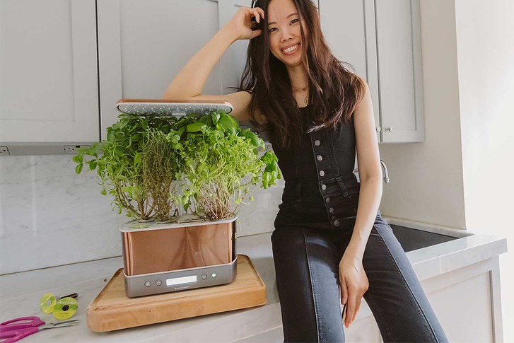 Growing fresh herbs at home with AeroMist