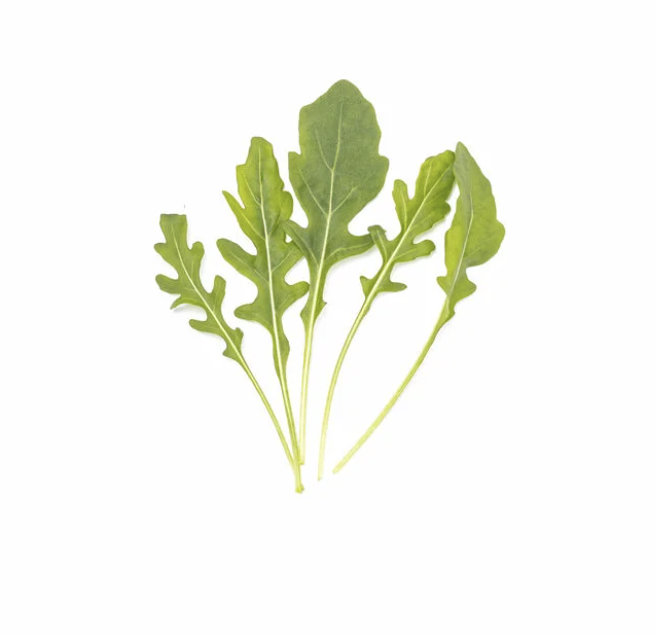 Mini arugula leaves