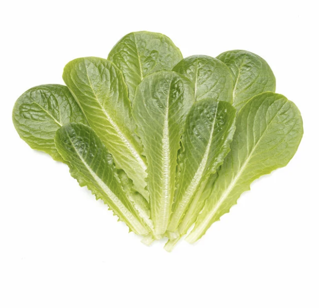 Romaine leaves